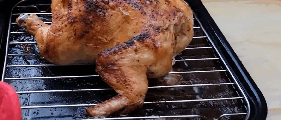 Best gas toaster oven
