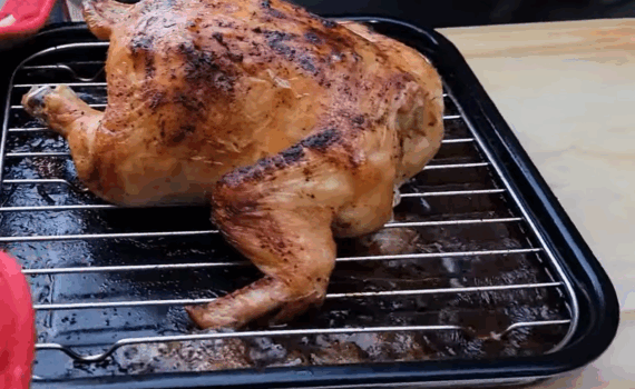 Best gas toaster oven